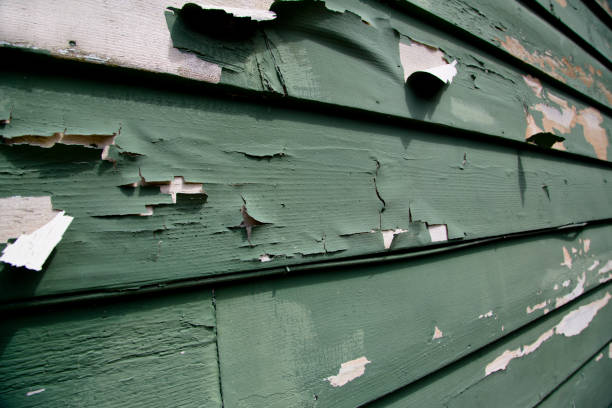 Best Shed Removal  in Spanish Springs, NV