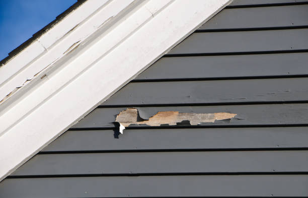Best Hoarding Cleanup  in Spanish Springs, NV