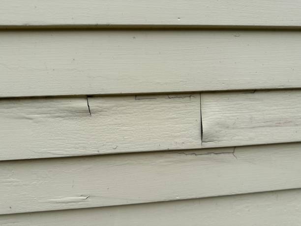 Best Property Management Cleanouts  in Spanish Springs, NV